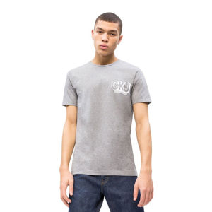 Calvin Klein pánské šedé tričko Graphic - S (39)